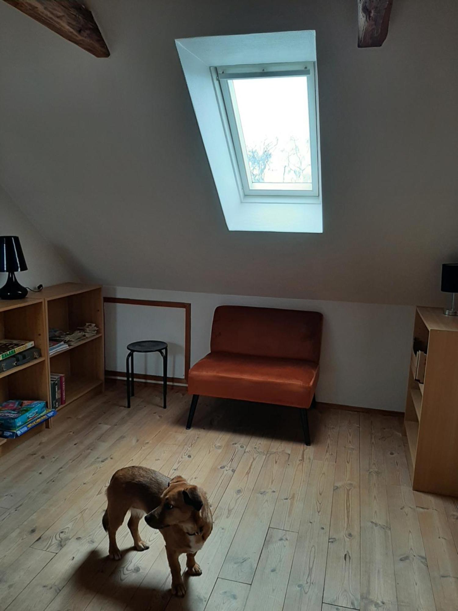 Stor Villa I Lendemarke Stege Kültér fotó